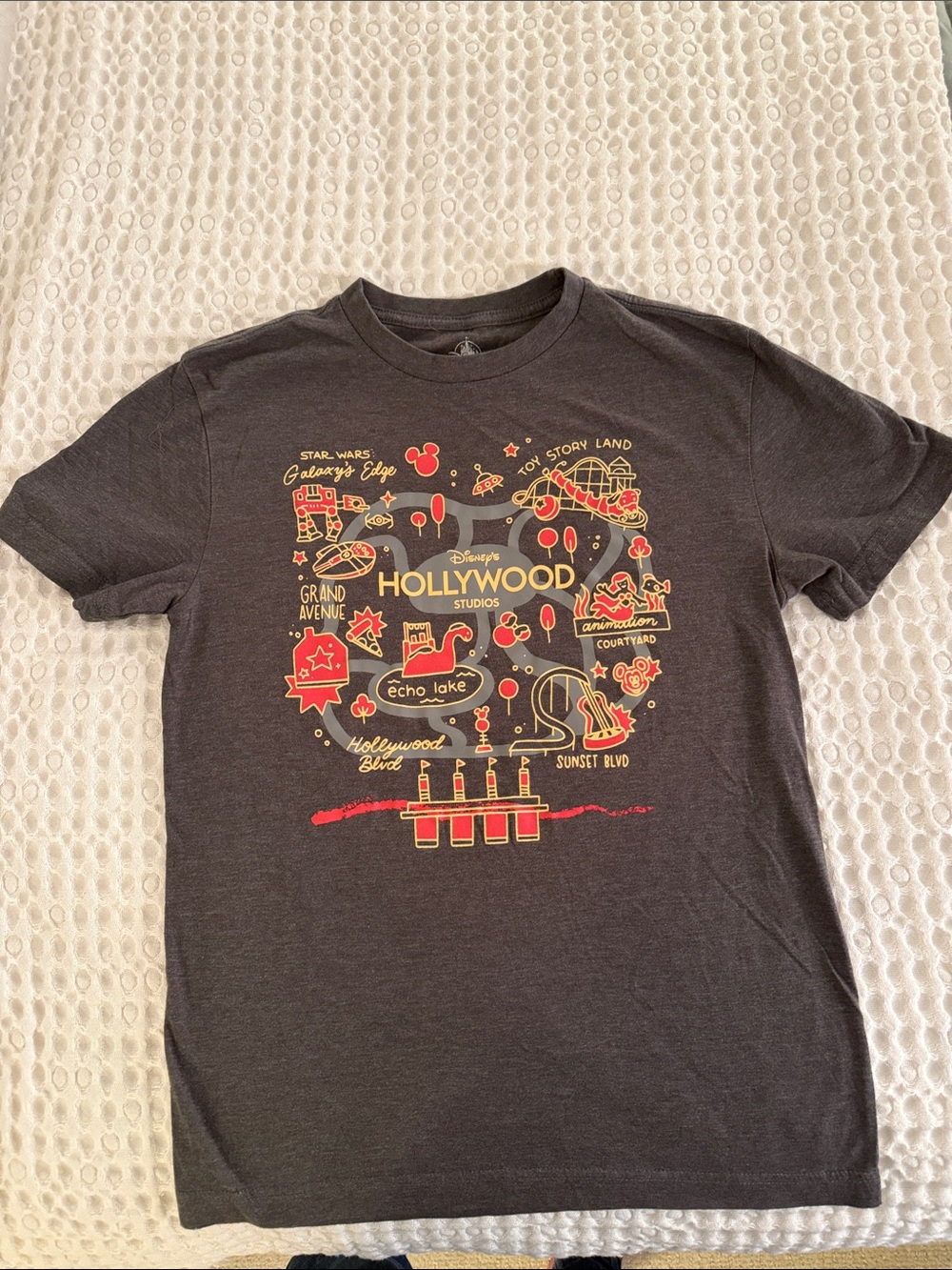 Disney Hollywood Studios Graphic Tee - Charcoal